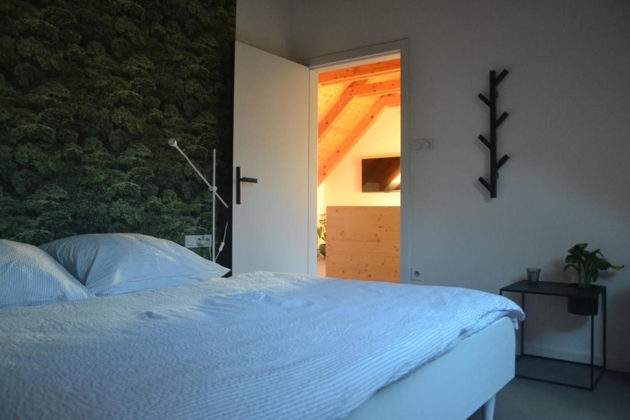 Apartman Cervenice Dlouhy 外观 照片