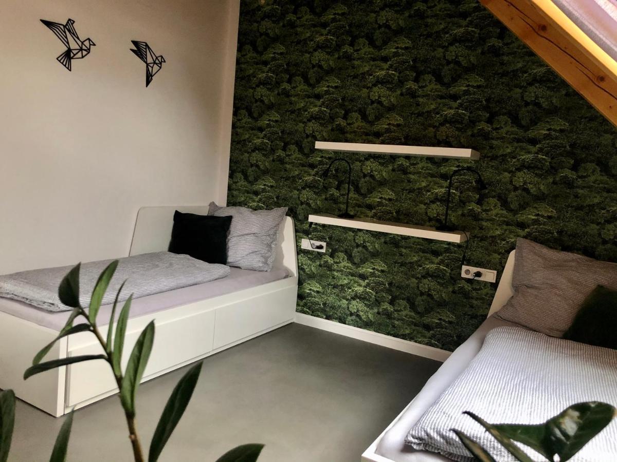 Apartman Cervenice Dlouhy 外观 照片