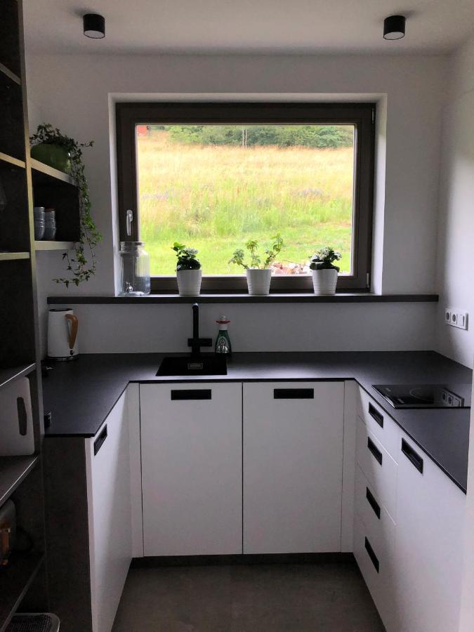 Apartman Cervenice Dlouhy 外观 照片