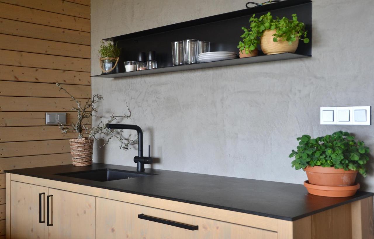 Apartman Cervenice Dlouhy 外观 照片